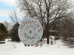 Papanack Park Zoo in Wendover, where a lion escapred its enclosure Sunday and was later euthanized.