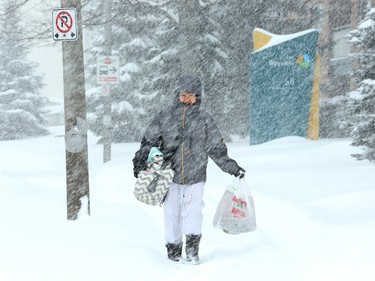 A woman with grocery bags trudges down an unplowed sidewalk in the Bayshore Mall area, looking exhausted from the trek.