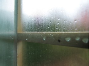 Windows that get wet when the weather turns cold encourage mould and mildew, but they also indicate low indoor air quality.