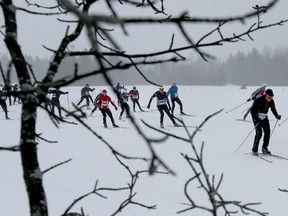 Are you participating in the Loppet?