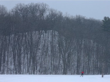 The Gatineau Loppet wrapped up it's 38th edition with skate-style races in Gatineau Quebec Sunday Feb 28, 2016. Thousands of skiers took part in the biggest international cross-country ski event in Canada Sunday.