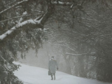 Walking to work or school was a chore Tuesday. 20-40 cm of snow is expected to fall by Tuesday night in Ottawa.