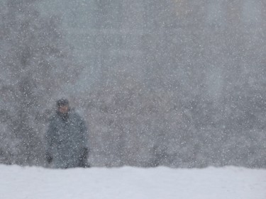 Feb 16, 2016. Walking to work or school was a chore Tuesday. 20-40 cm of snow is expected to fall by Tuesday night in Ottawa.