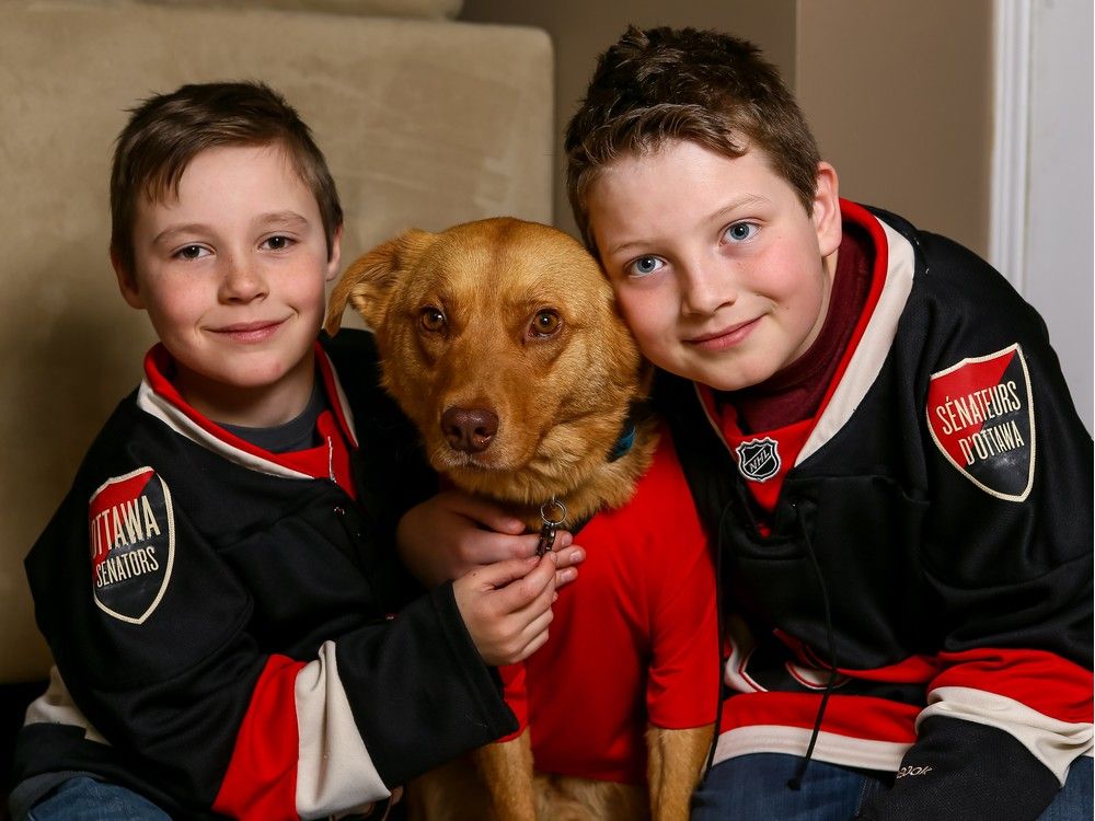 Meet the Dogs: Canidae Proudly Partners with the NHL's Good Boys and Girls  - Canidae