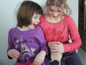 Sisters Erica, four, and Alison Doraty, seven, make friends with Phoebe the rat at the Humane Society mixer Saturday.