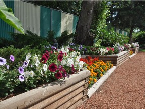 Learn about raised garden beds before the season begins.