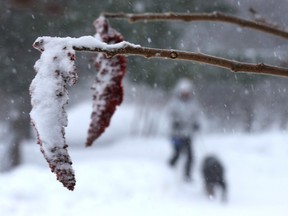 More snow, freezing rain and ice pellets are forecast.