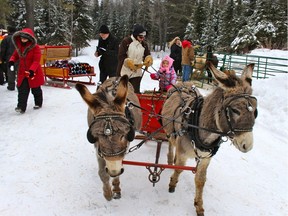 Abigail Pieschke, 3, and driver Melissa Smith get ready for a mini-sleigh ride fueled by pint-sized donkeys Felix and Donkey at 710 Excursions.  The farm near Ladysmith, Quebec, has plenty to keep kids occupied, including a number of farm animals to pet.