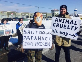 About 40 people gathered near the Papanack Zoo in Wendover on Sunday afternoon to protest the shooting death of a lion at the zoo last week.