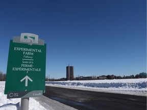 A view of Carleton University from the Experimental Farm in Ottawa Thursday March 3, 2016.