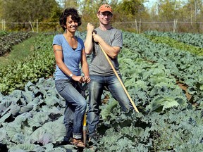 Leela Ramachandran and Bradley Wright of Bluegrass Farm sell produce grown in their greenhouses and on their land to area restaurants and food stores.