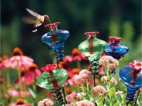 Glass hummingbird feeders at Lee Valley Tools.