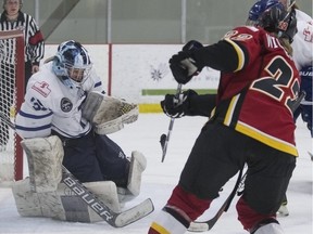Crystal Schick/ Calgary Herald CALGARY, AB --Calgary Inferno's Hayley Wickenheiser  fires a shot at Toronto Furies goalie Christina Kessler during CWHL action at Winsport in Calgary, on January 17, 2016. --  (Crystal Schick/Calgary Herald) (For Sports story by  TBA) 00071452A