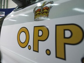 OPP have charged a woman with mischief after claims her baby stroller was hit by a car.