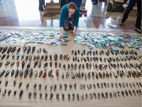 Sarah Kirkpatrick-Wahl lays out some of the  birds at Ottawa City Hall as the group Safe Wings Ottawa publicizes the program run by volunteers to record and collect birds that have died by flying into windows in downtown Ottawa.