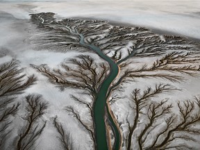Edward Burtynsky is one of the winners of the Governor General's visual arts awards in 2016. This photograph is called Colorado River Delta #2, Near San Filipe, Baja, Mexico, 2011, chromogenic print, 1.52 m x 2.03 m, on loan to the U.S. Embassy in Ottawa. ©Edward Burtynsky