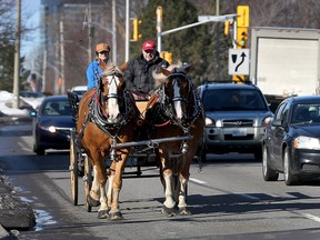 John and Patty Cundell from Cundell Stables enjoy the morning rush hour on Smyth Road in Ottawa Friday March 11, 2016. The Cundells were on their way to CHEO to take some kids for a ride.