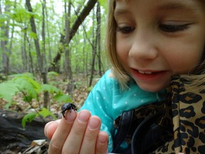 Learn how to become a citizen scientist.