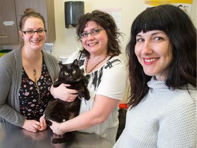 From left, Michelle Anne Olsen, Valerie Fenske and Genevieve Champagne are first-year vet tech students at Algonquin College whose project is called Helping Pets by Helping Pet Parents.