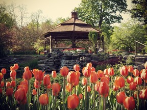 Beechwood Ottawa’s park-like setting includes colourful gardens, century-old trees, ponds, enchanting fountains and over 35,000 spring tulips.