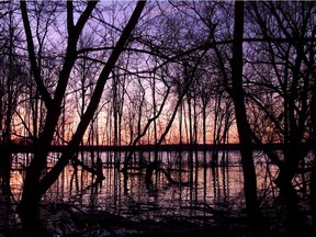 Twelve graduating architecture students at Carleton University have come up with an ambitious proposal for a new park around a restored Pinecrest Creek, a partly buried waterway that empties into the Ottawa River near Mud Lake in the city's west end.