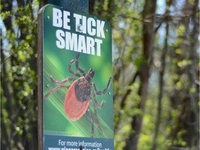 Ottawa Public Health officials say preliminary figures show 46 cases of Lyme disease were reported in the region during the three summer months.
