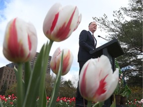 David McGuinty, Member of Parliament for Ottawa South, unveiled the new Canada 150 tulip at Commissioners Park near Dow's Lake in Ottawa Monday May 9, 2016. The Canada 150 tulip is the official tulip of Canada's 150 anniversary. Over 200,000 Canada 150 tulips will be in bloom across the national capital region this spring.