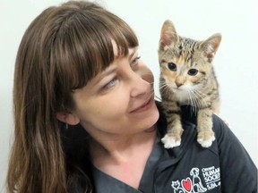 Crystal, a Humane Society vet technician, with Daisy, one of two kittens rescued from zip-tied box in a Kanata dumpster. Daisy's brother later died of infection.