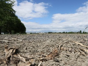 The dry conditions have meant an increase in grass fires in May, officials say.