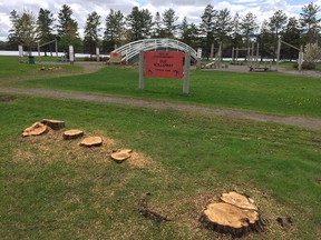 The city plans a huge park for Mooney's Bay for 2017.