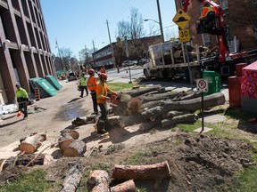 A crew removed a number of trees along Gilmour Street between Metcalfe Street and Elgin Street in front of the PSAC building in downtown Ottawa on Thursday May 5, 2016.