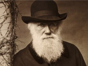 Naturalist Charles Darwin would never have made the "30 under 30" list of early successes.