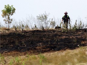 A burn ban is in place for all of Ottawa after firefighters were called to four separate brush and grass fires on Friday. (File photo)