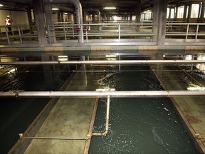File photo of the filtration beds at the Lemieux Island Water Purification Plant.