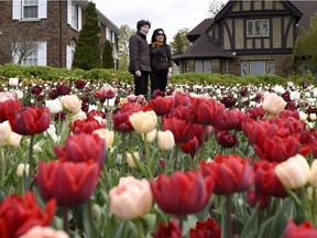 People stand between flower beds at the Canadian Tulip Festival at Commissioner's Park on Sunday, May 15, 2016 in Ottawa.