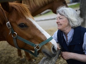 Tanya Boyd, owner of Kindred Farm Rescue checks on a rescue horse named Amber at an open house Saturday.