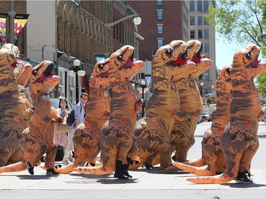 - An unsuspecting couple is joined by the pack of dinos as they crossed Sussex Avenue. Dinosaurs seemed to be taking over in downtown Ottawa as a pack of large, wobbling meat eaters wandered around the Byward Market Tuesday (June14, 2016).  The dinos, which took some by surprise, but mostly gave people a pretty cool selfie, were out to promote the Ultimate Dinosaurs exhibit, which runs at  the Canadian Museum of Nature from June 11 to Sept. 5th. JULIE OLIVER/POSTMEDIA