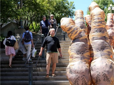 Dinosaurs seemed to be taking over in downtown Ottawa as a pack of large, wobbling meat eaters wandered around the Byward Market Tuesday (June14, 2016).  The dinos, which took some by surprise, but mostly gave people a pretty cool selfie, were out to promote the Ultimate Dinosaurs exhibit, which runs at  the Canadian Museum of Nature from June 11 to Sept. 5th. JULIE OLIVER/POSTMEDIA