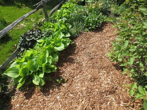 For a great-looking, low maintenance garden, spread your bark mulch generously.