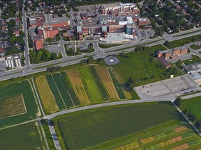 Google Earth shows the Ottawa Hospital, Civic Campus and the Central Experimental Farm.