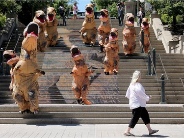-Joanne Cassidy quickened her pace as a pack of growling dinosaurs came running down steps off Sussex Avenue. Dinosaurs seemed to be taking over in downtown Ottawa as a pack of large, wobbling meat eaters wandered around the Byward Market Tuesday (June14, 2016).  The dinos, which took some by surprise, but mostly gave people a pretty cool selfie, were out to promote the Ultimate Dinosaurs exhibit, which runs at  the Canadian Museum of Nature from June 11 to Sept. 5th. JULIE OLIVER/POSTMEDIA