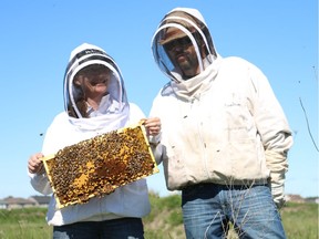 Marianne and Matt Gee display their bees at their new home in Minto's Kanata development.