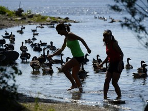 People were out in the waters and enjoying the scene at Remic Rapids on Father's day, June 19, 2016. (James Park)