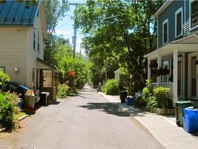 Here's what Phil Jenkins saw as he walked down Avon Lane in the New Edinburgh neighbourhood.