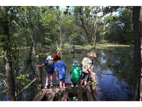 Regina Street Public School in Ottawa Monday June 20, 2016. Melanie Good and a group of parents are trying to save the school from being shutdown. Kids at Regina Street Public School are lucky to be able to walk to Mud Lake, just a few minutes from the school, where they experience different kinds of wildlife.