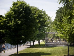 Terrace on the Canal will serve as a community-oriented spot for grabbing coffee, food, beer or just enjoying the ambience, said Sharif Virani, the bar's marketing director.