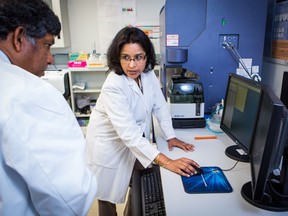 Dr. Lakshmi Krishnan, the director of research and development in immunology and the program leader in vaccines and immunotherapeutics at the NRC will be testing oxidized beta carotene with her team of scientists.