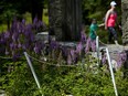 Flowers bloom around one of the many ruins at the Mackenzie King Estate.