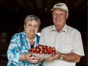 Maureen and Ron Ovens are closing their Osgoode berry business after 38 years. Tuesday July 19, 2016.