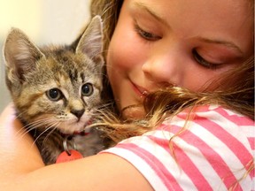 Some kids from a summer camp, including Amelia Parsons, 7, seemed thrilled to meet three of the newly-arrived kittens at the shelter Wednesday.